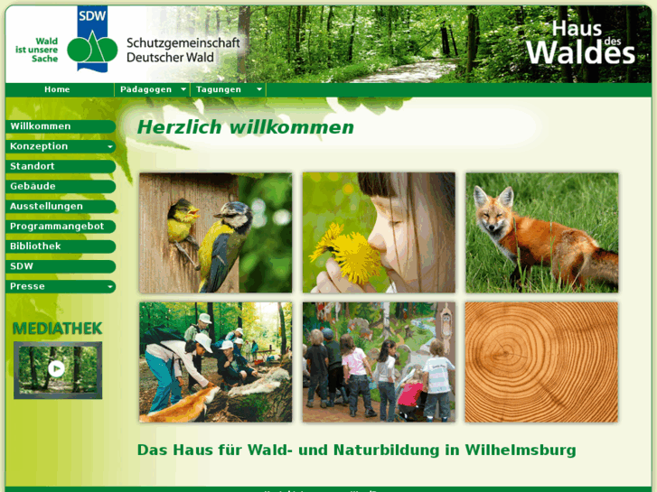 www.hdw-hamburg.de