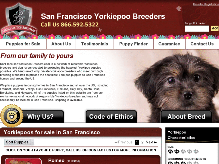 www.sanfranciscoyorkiepoobreeders.com