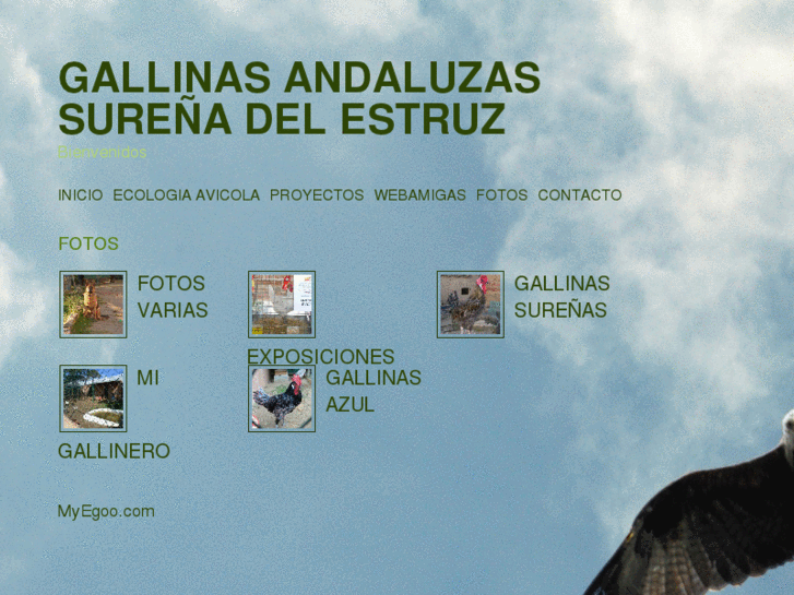 www.gallinasandaluzasdelestruz.com