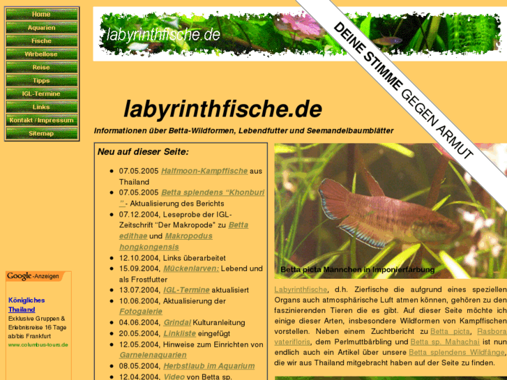 www.labyrinthfische.de