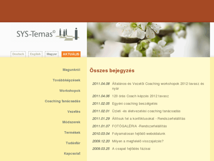 www.sys-temas.com