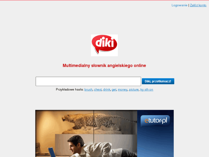 www.diki.pl
