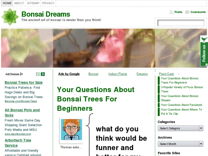 www.bonsaidreams.com