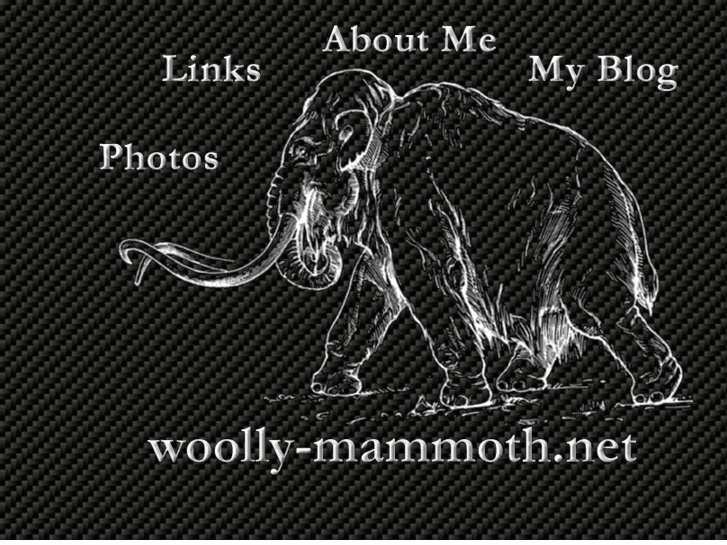 www.woolly-mammoth.net