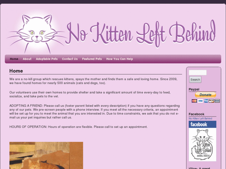 www.nokittenleftbehind.com