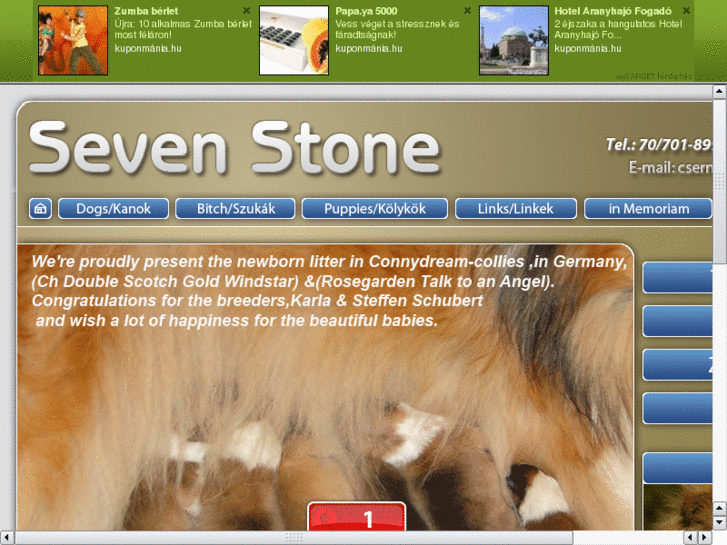 www.seven-stone.hu