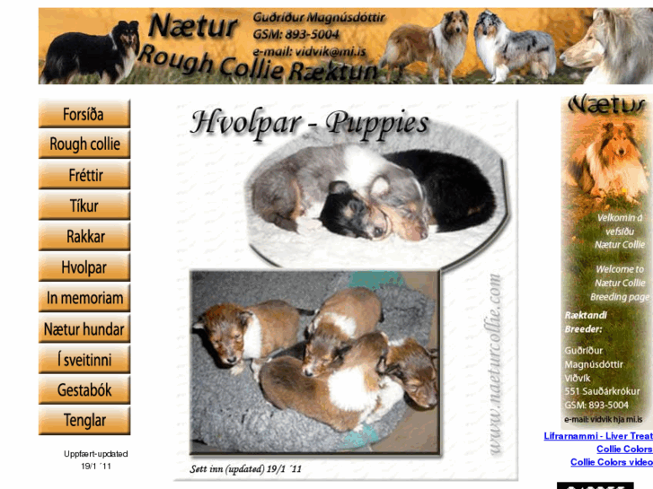 www.naeturcollie.com