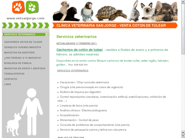 www.cachorroscotondetulear.com