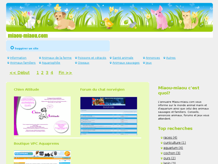 www.miaou-miaou.com