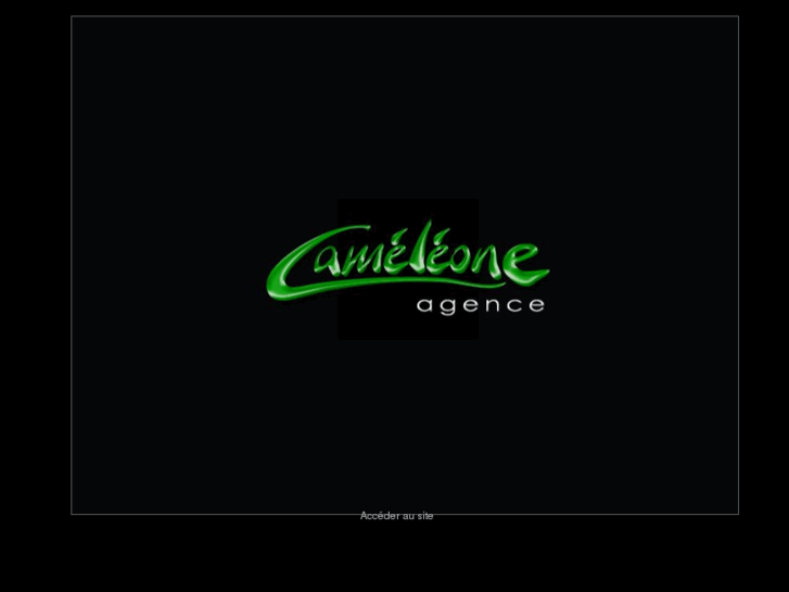 www.cameleone-agence.com