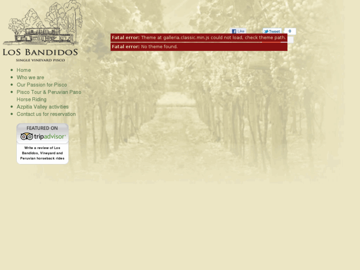 www.piscolosbandidos.com