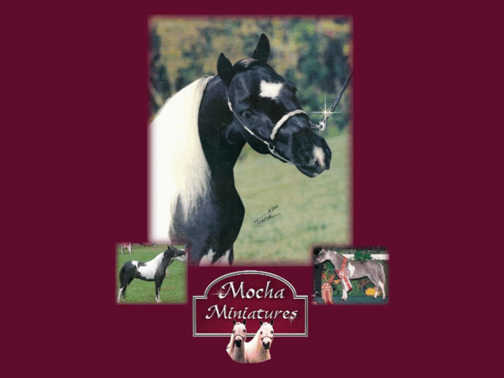 www.mochaminiatures.com