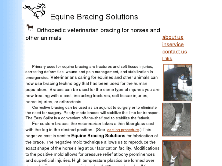 www.equinebracing.com