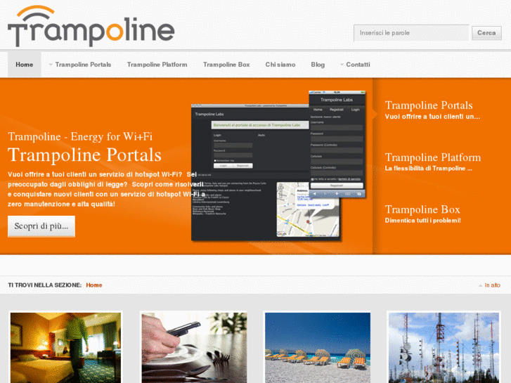 www.trampolineup.com
