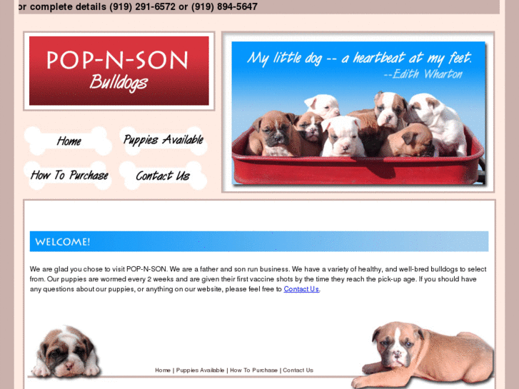 www.pop-n-sonbulldogs.com
