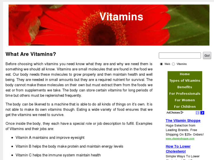 www.what-vitamins.com