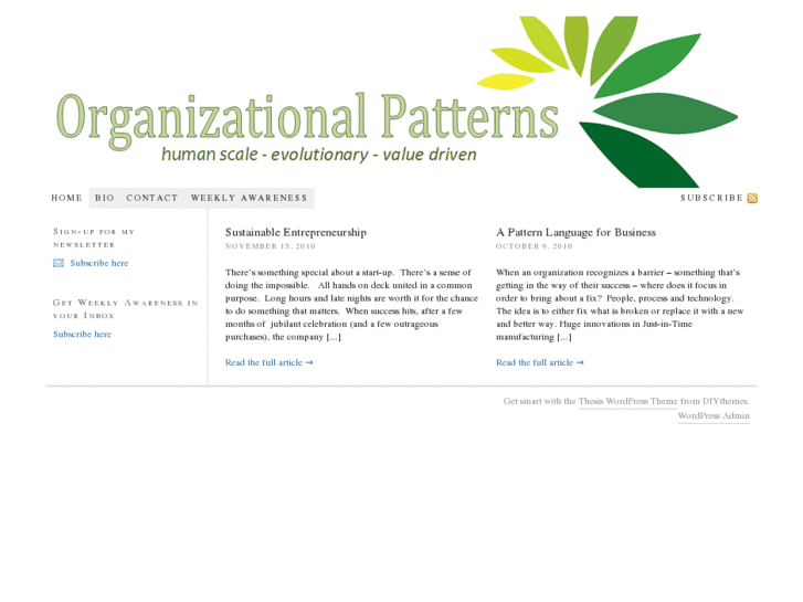 www.organizationalpatterns.com