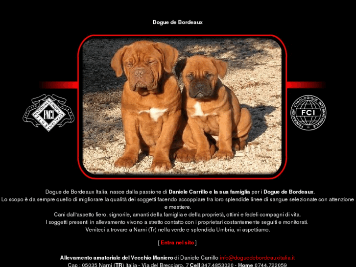 www.doguedebordeauxitalia.it