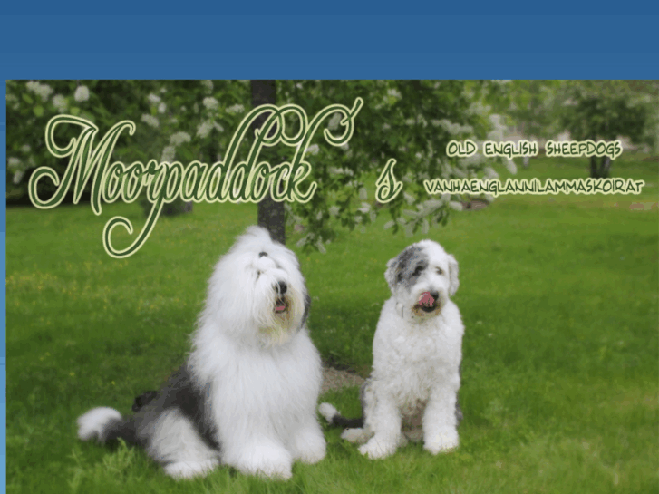www.moorpaddocks.com