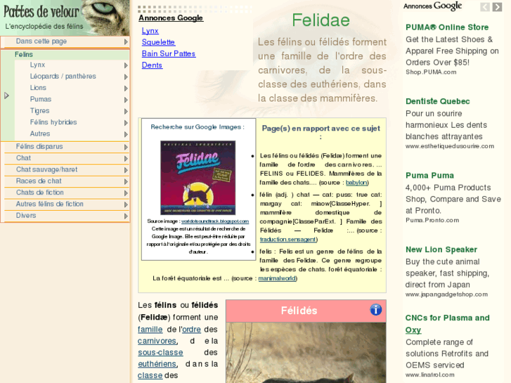 www.pattes-de-velour.com