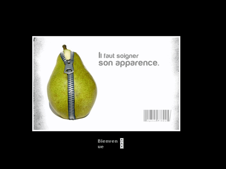 www.agencepixel.com