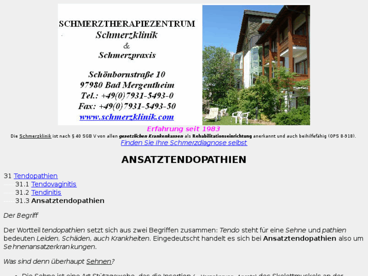 www.ansatztendopathien.de