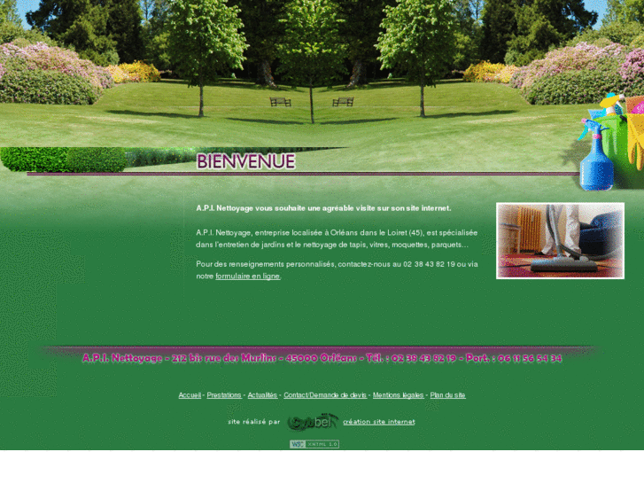 www.apinettoyage.com