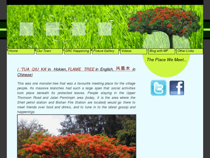 www.thebigtree.sg