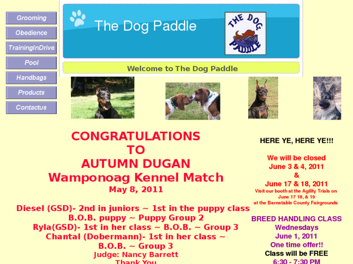 www.thedogpaddle.org