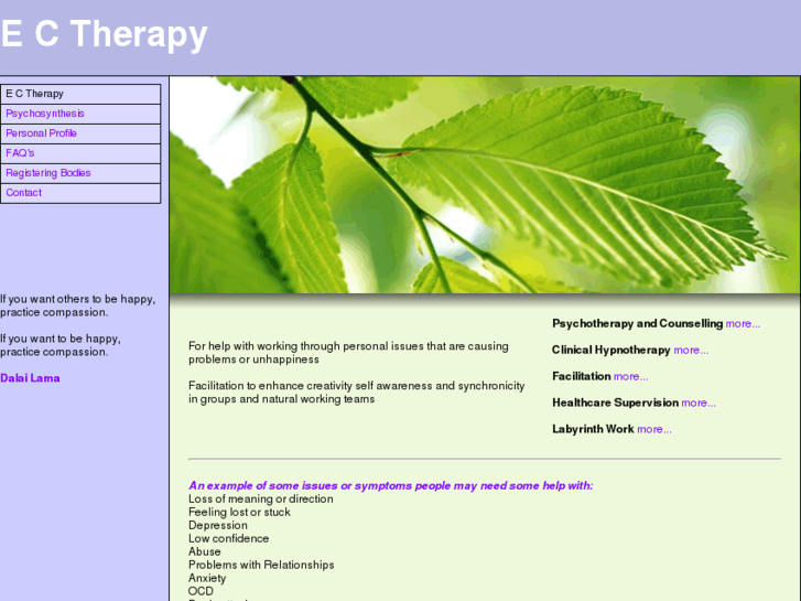 www.e-c-therapy.com