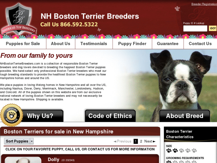 www.nhbostonterrierbreeders.com