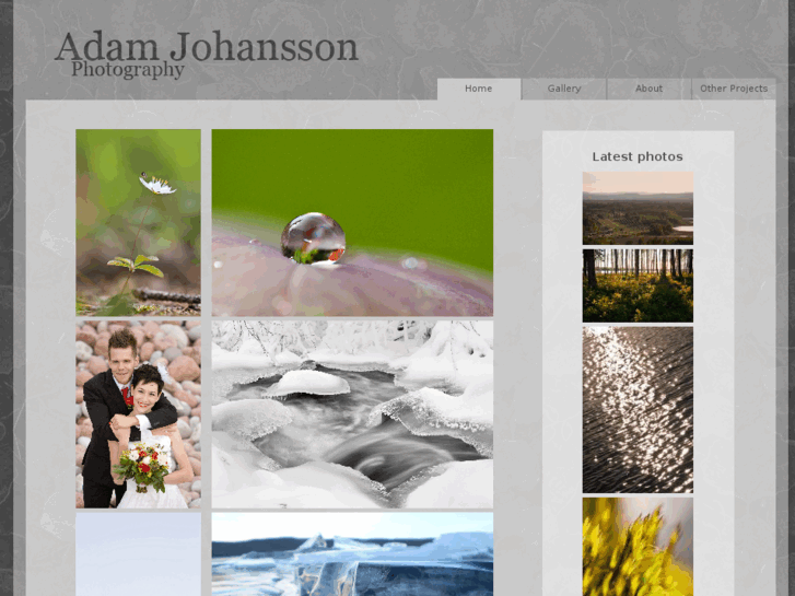 www.adamjohansson.com