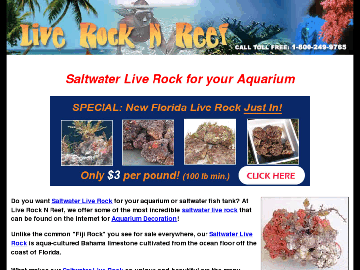 www.live-rock.info