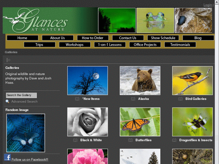 www.glancesatnature.com