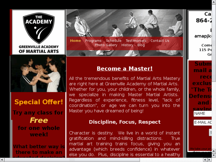 www.greenvillemartialarts.com