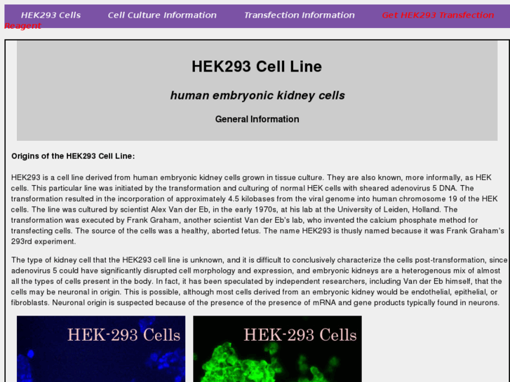 www.hek293.com