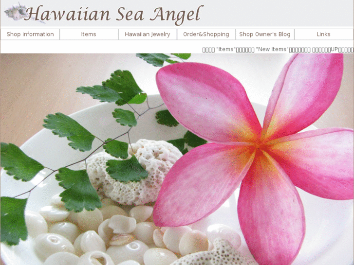 www.hawaiian-sea-angel.com
