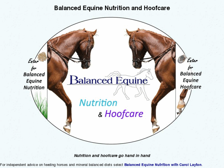www.balancedequine.com.au