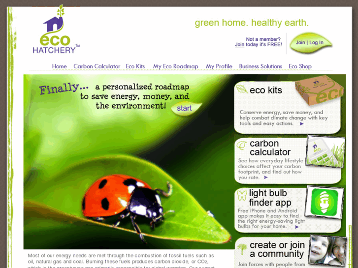 www.ecohatchery.com