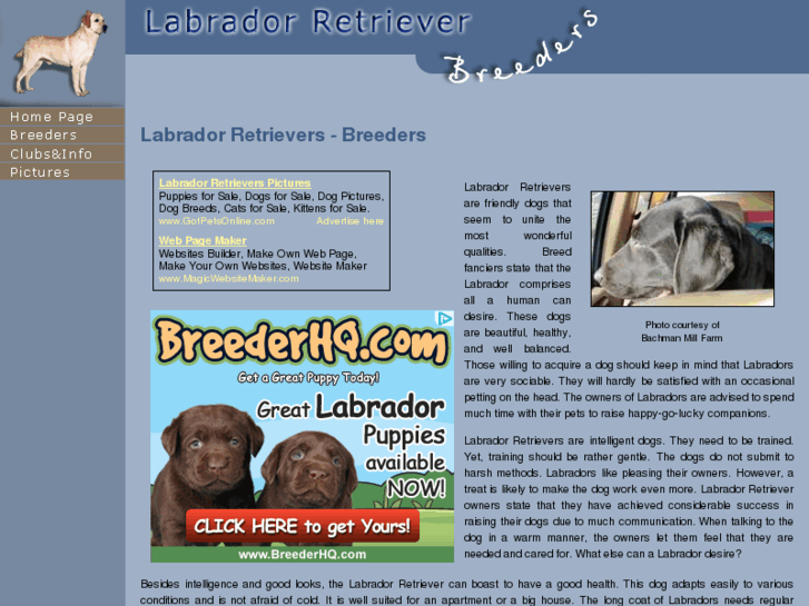 www.labrador-retrievers-breeders.com