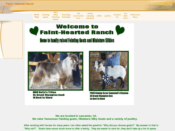 www.faintheartedranch.net