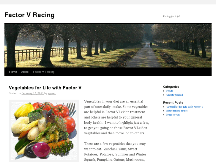 www.factorvracing.com
