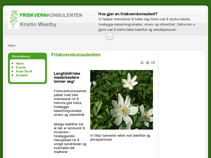 www.friskvernkonsulenten.net