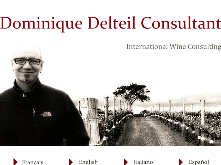 www.delteil-consultant.com
