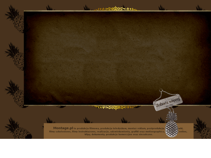 www.montage.pl