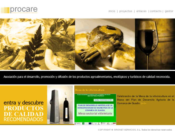 www.procare.es