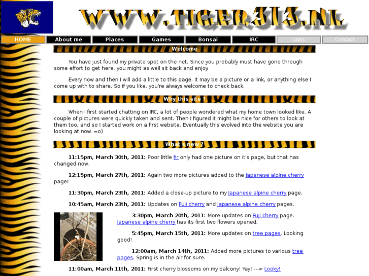 www.tiger313.nl