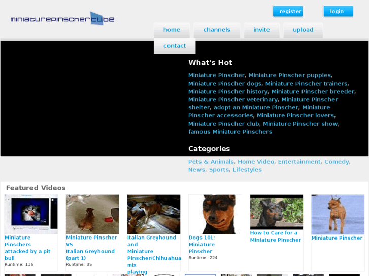 www.miniaturepinschertube.com