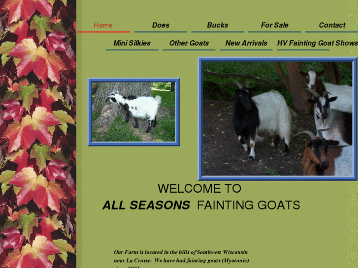 www.allseasonsfaintinggoats.com