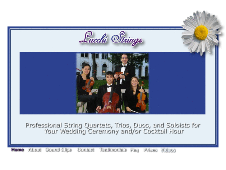 www.lucchistrings.org